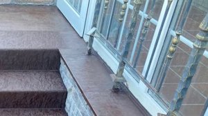 Облицовка бетонных лестниц частного дома по технологии C3 в коттеджном поселке Онегин