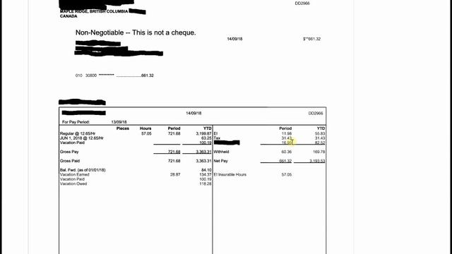 Gross And Net Pay