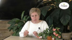ЭТИ СОРТА ЛИЛЕЙНИКОВ ВАМ ТОЧНО ПОНРАВЯТСЯ!