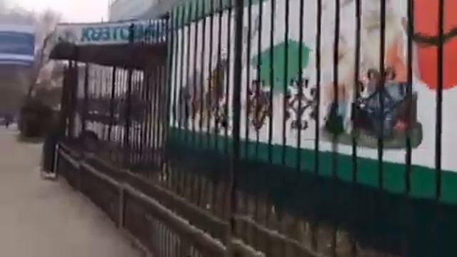 Almaty VLOG#1/WALKING/питомник смотреть онлайн