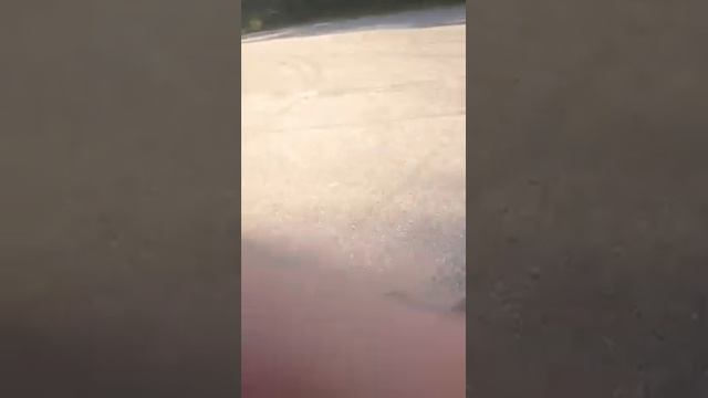 My moped смотреть онлайн
