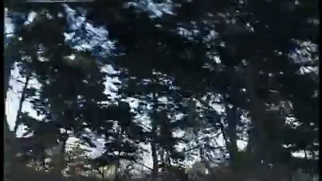 Город Чанчунь смотреть онлайн