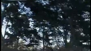 Город Чанчунь