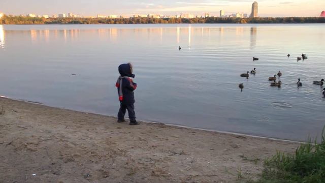 Максик кормит уток смотреть онлайн