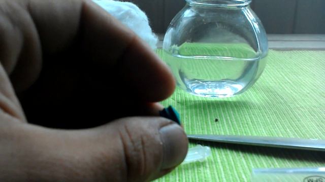 Как сделать инкубатор для муравьиной матки. смотреть онлайн