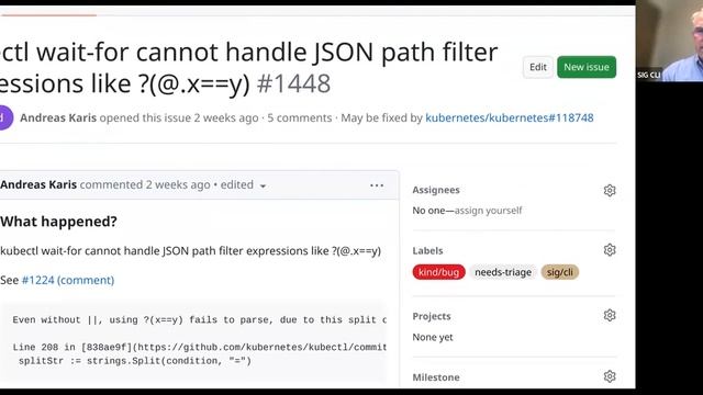 Kubernetes SIG CLI 20230726 смотреть онлайн
