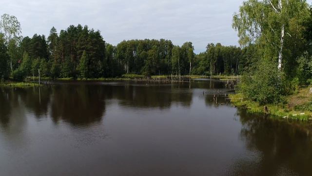 Flying over Lake ~ Aerial Drone video 4K смотреть онлайн