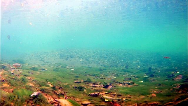 За голавлем на реку Вулан около М-4. Архипо-Осиповка, на море шторм смотреть онлайн