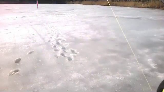 Вторая часть, Нельма смотреть онлайн