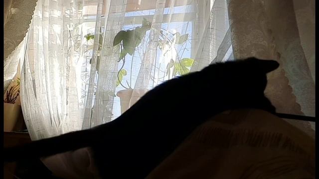 Ночка в полёте, нам уже ~2,5 месяца. смотреть онлайн