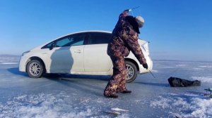 Рыбалка на комбайны! Ловля наваги на КОМБАЙНЫ!