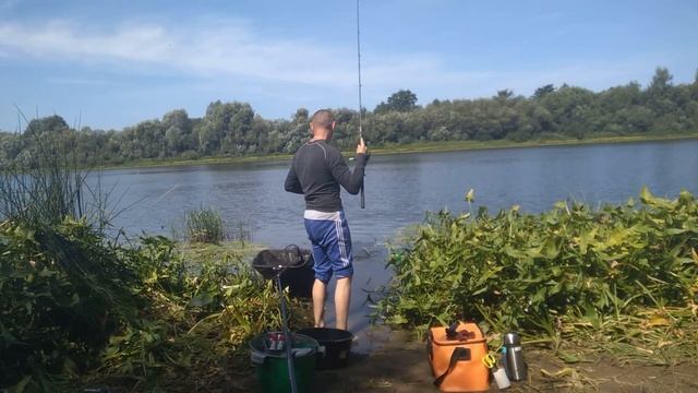 Забыл наживку дома, но рыбу поймал. Рыбалка на Чепце смотреть онлайн