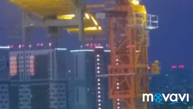 фото Бернский Зенненхунд🐕🦺🐕🦺🐕🦺 закат и приоода... смотреть онлайн