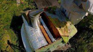 Залетел рой в пустой улей .Что делать?  Вот так сюрприз!!!