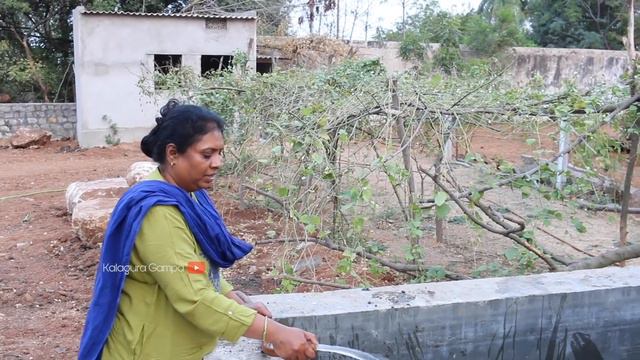 How to Grow Lotus Pond at Home/ Making Lotus Pond Using Flower Pots Very Easy / Repotting Lotus смотреть онлайн