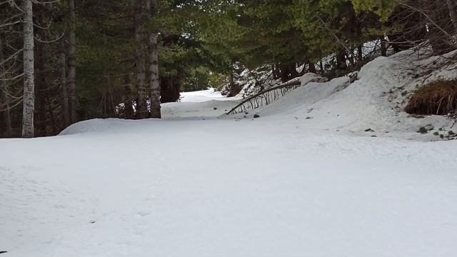 Prokletije, Черногория, поход выходного дня, 22.02.2023 смотреть онлайн