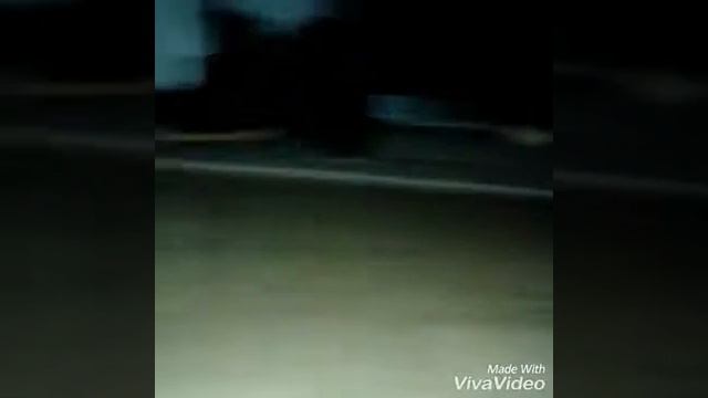Моя собака иллюминат смотреть онлайн