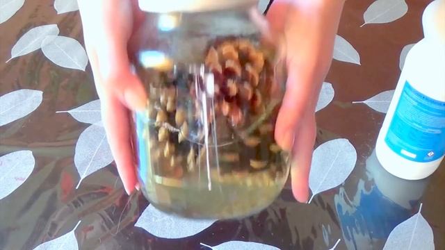 DIY Отбеливание шишек белизной (оно того не стоит) смотреть онлайн