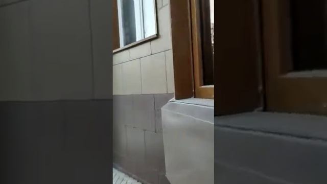 Фасадное остекление смотреть онлайн