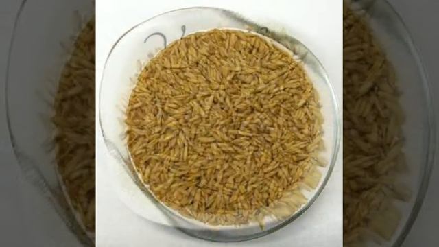 Лучшее средство улучшить здоровье (Попробуйте и не пожалеете) смотреть онлайн