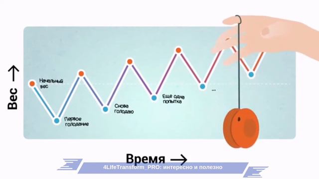 Эффект йо-йо при снижении веса. смотреть онлайн