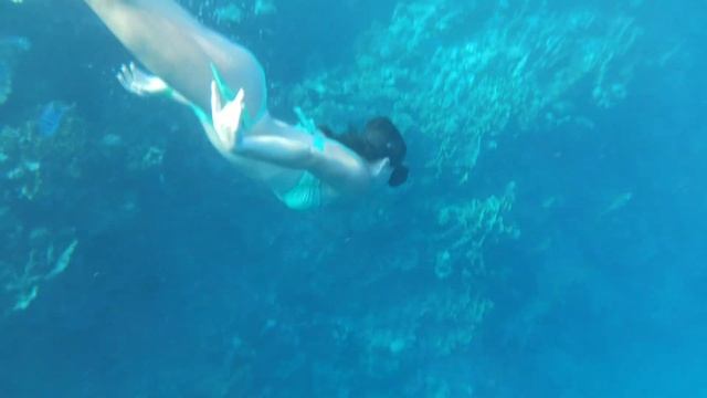 ЕГИПЕТ-2023-ШАРМ. #30 - КУПАЕМСЯ и НЫРЯЕМ в КРАСНОМ МОРЕ. ПЛЯЖ "PALMA BEACH". ДЕНЬ ШЕСТОЙ смотреть онлайн