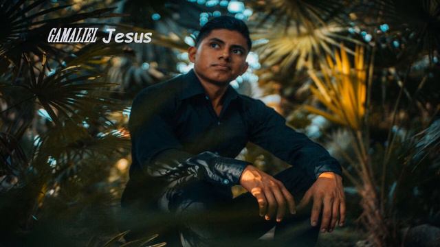 Gamaliel Jesus - Reflexion смотреть онлайн