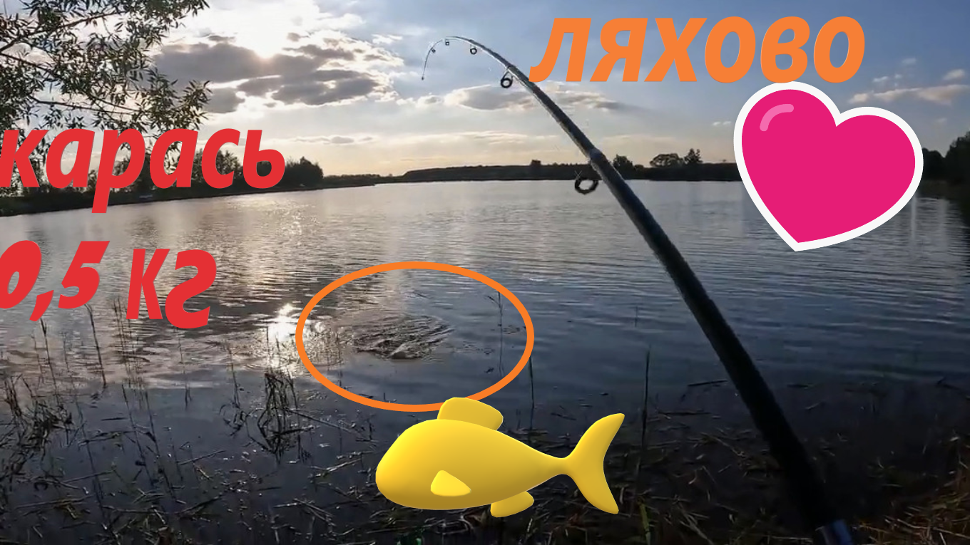 Огромный карась СГИБАЕТ УДОЧКУ на платном водоёме Ляхово!!!!! Рыбалка на поплавок. Лето 2023 смотреть онлайн