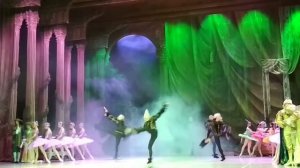 П.И. ЧАйковский "Спящая красавица" сцены из 1 действия, фея Карабос