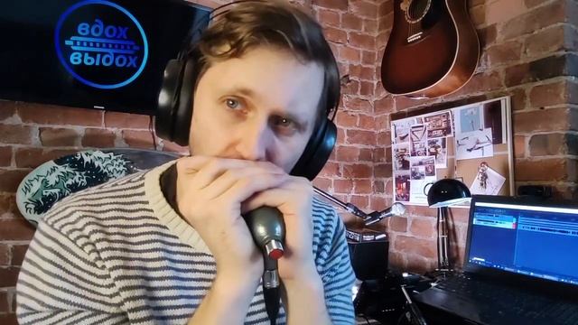 Блюзовый лад без бендов/ Обзор на гармошку PentaHarp от Hohner смотреть онлайн