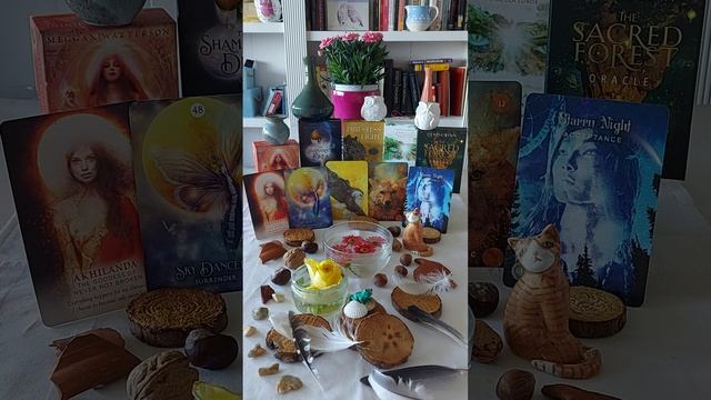 Leo ♌ Akhilanda. Sky Dancers. Clarity. The Coyote. Starry Night. смотреть онлайн