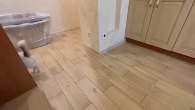 ВЕРНУЛИСЬ ИЗ ТАЙЛАНДА В ПИТЕР! НОВАЯ ШКОЛА, САЛОН КРАСОТЫ!КУЛИЧИ И ЯЙЦА!? смотреть онлайн