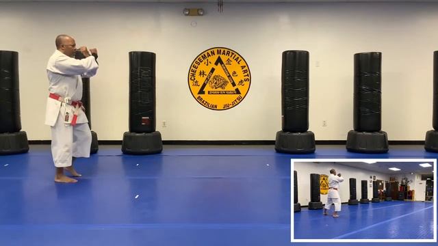 FUKYU DAI ICHI @Cheeseman Martial Arts Brazilian Jiu Jitsu Hampton VA. смотреть онлайн