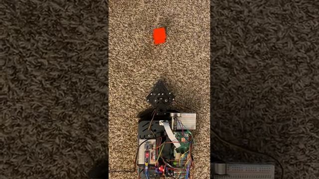 Object Detection Using Raspberry Pi camera смотреть онлайн