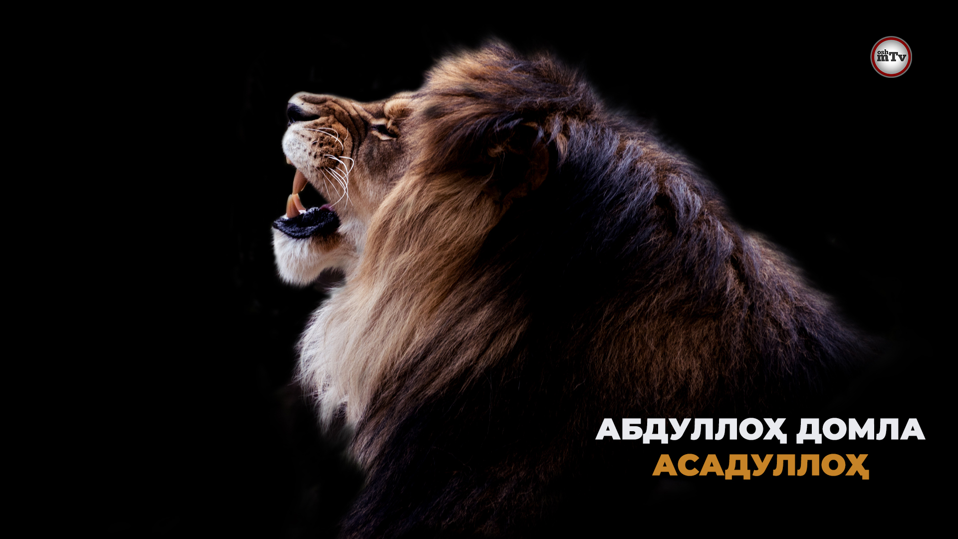 Хамза ибн Абдул Мутталибнинг исломга кириши - Абдуллох домла смотреть онлайн