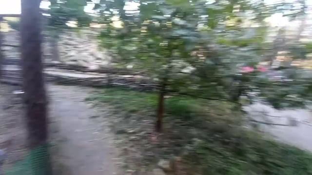 Полный обзор базы отдыха "ЛЕСНАЯ СКАЗКА" в тамбове # ЦЕНА # стоит ли ехать сюда # зоопарк в тамбове.