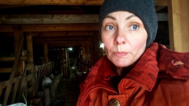 Сугробы.Милашные моменты с козлятами.Трудное время.Пожертвовать козлятами.Чудо у козлов смотреть онлайн
