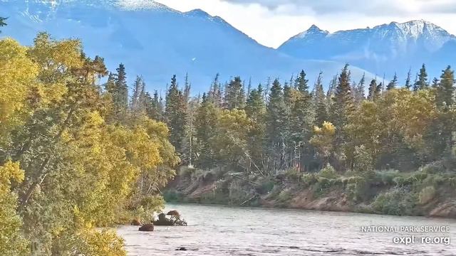 Река Брукс. Катмай. Аляска - Brooks River. Katmai. Alaska смотреть онлайн