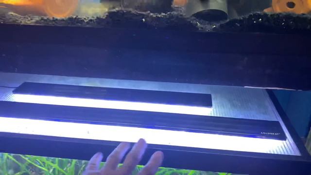 Aquaneat LED Light Review - Full Spectrum смотреть онлайн