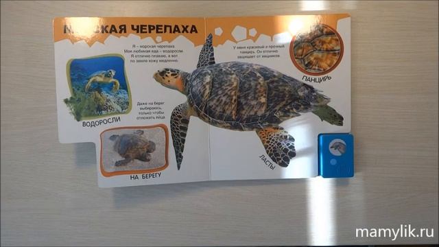 Про веселого дельфина и не только. Азбукварик. Отзыв смотреть онлайн