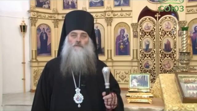 Какого мы духа? и к чему нам стремиться в дни Рождественского поста/ епископ Сергий смотреть онлайн