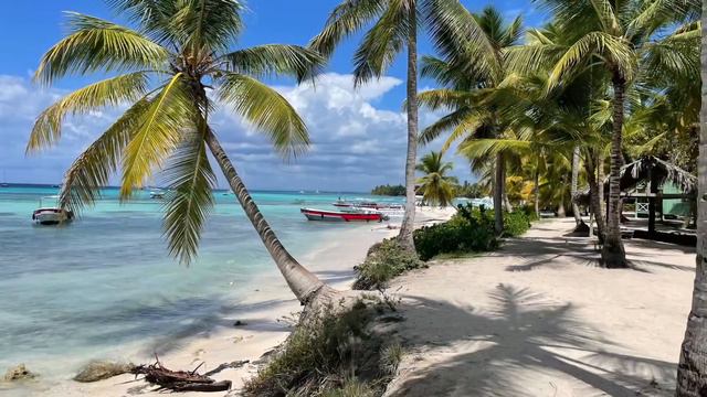 SVETOSLAV  STOICHEV - MARDJANDJA  СВЕТОСЛАВ СТОЙЧЕВ -МАРДЖАНДЖА  cover - Шифутински