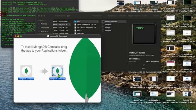 MongoDB Compas смотреть онлайн