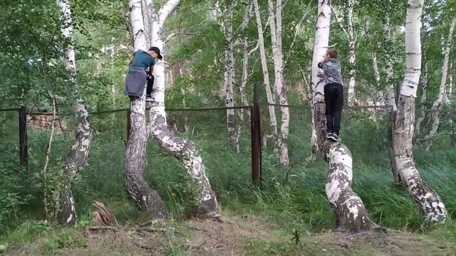 Лето 2019, "Танцующие берёзы" смотреть онлайн
