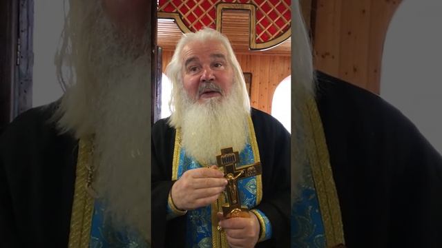 День памяти святого преподобного Иоанникия Великого - Авлинское(Авлы)/17-11-2019 смотреть онлайн