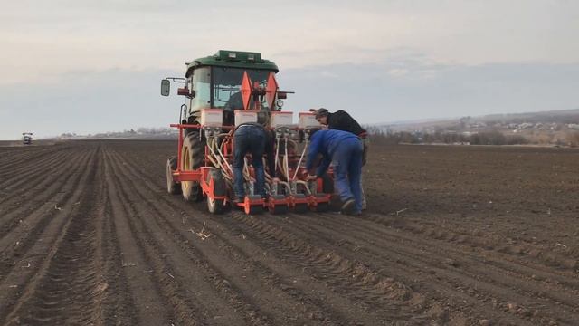 ПОСЕВ РЕДИСКИ 8 МАРТА 2019 ТРАКТОР JOHN DEERE 3045B И СЕЯЛКА GASPARDO смотреть онлайн