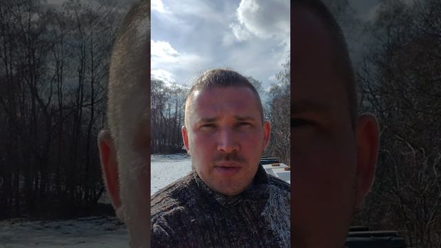 Гибнут пчёлы. смотреть онлайн