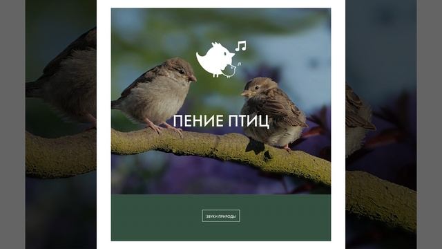 звуки природы для детей смотреть онлайн