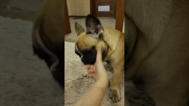 7 січня 2023 р. смотреть онлайн