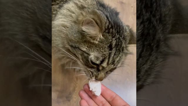 Тыквенный суп и чесночные гренки